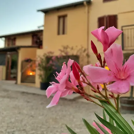 Chiaraluce 3* Massignano