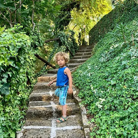 Chiaraluce Массиньяно