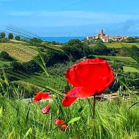 Chiaraluce Мини-отель Массиньяно